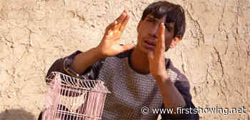 Official Trailer for 'Three Songs for Benazir' Short About Afghan Teens