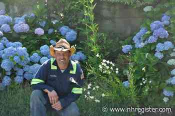 CT Horticultural Society to present talk by Untermyer Gardens Conservancy's gardener - New Haven Register