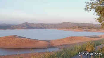 How to see Bald Eagles fly over Millerton Lake in Fresno County