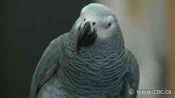 13 things to do in and around Edmonton this weekend