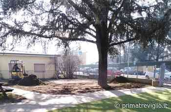 Geromina, alla "Bicettina" arriva il prato sintetico - Prima Treviglio