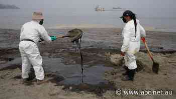 Peru says oil spill caused by Tonga eruption an 'ecological disaster' as dead birds and seals wash up on shore