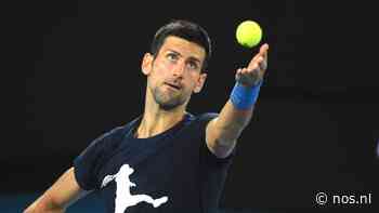 Krajicek hoopt Djokovic naar Rotterdam te halen: 'Fantastisch als hij komt' - NOS