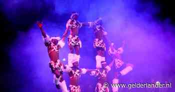 Omwonenden halen bakzeil: speeltuin Englaan is in ogen rechter helemaal niet geschikt voor meer evenementen - De Gelderlander