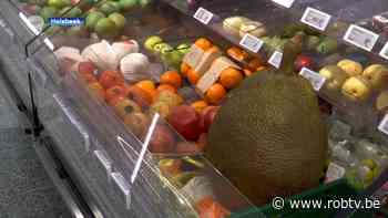 Exotische vrucht van 13 kilogram te koop in Holsbeek: "Het is wel prachtig fruit of wat het ook mag wezen." - ROB-tv