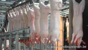 Geweigerde vergunning slachthuis Tielt: Geschrokken van beslissing - Landbouwleven