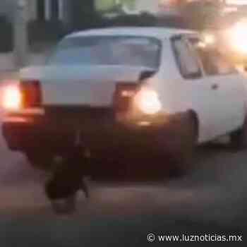Rescatan a perros que eran arrastrados por un carro en Los Mochis - Luz Noticias