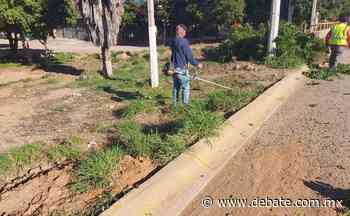 Se extienden trabajos de limpieza y embellecimiento en zonas de Los Mochis y municipio de Ahome - Debate