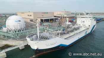 World's first hydrogen tanker arrives to ship test cargo to Japan