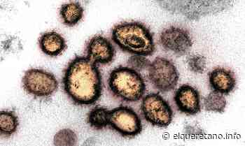 A nivel nacional, 35 municipios se encuentran totalmente libres de Covid19 - El Queretano