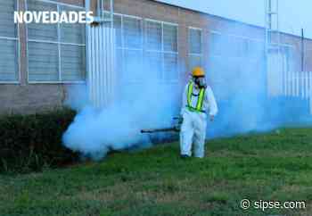 Libres de mosquito: Nebulizaron más de 40 mil hectáreas en 2021 - sipse.com