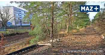 Bahnstrecken-Reaktivierung: Görke macht neuen Vorschlag für Rathenow - Märkische Allgemeine Zeitung