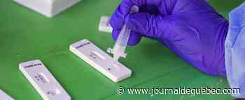 Des tests rapides au secondaire dès vendredi