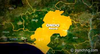Eight killed, five injured in Ondo road accident - Punch Newspapers