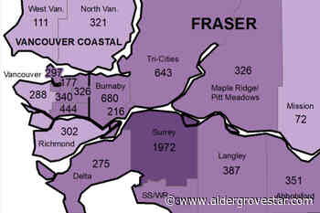 New COVID cases keep declining in Langley – Aldergrove Star - Aldergrove Star