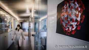 Covid, ateneo di Parma studia molecole per inibire il virus e la "tempesta infiammatoria" - La Repubblica