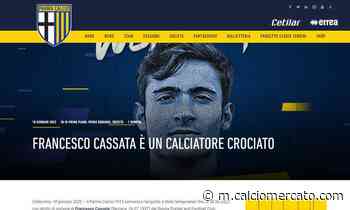 Parma, UFFICIALE: ecco Cassata - Calciomercato.com
