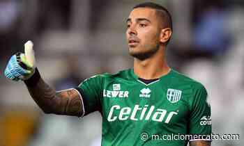 Salernitana, trattativa ai dettagli con il Parma per Sepe - Calciomercato.com