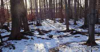 On the Trail: An intriguing trail shows glacial history, plus Torch Lake views - Traverse City Record Eagle