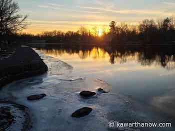 Winners of Lakefield Trail photo contest announced - kawarthaNOW.com