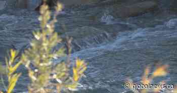 Addressing water management in southern Alberta: ‘We will have more droughts’