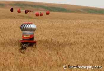 Calgary's Next Economy: Paramoria Agri-Science builds fungal early warning system - LiveWire Calgary