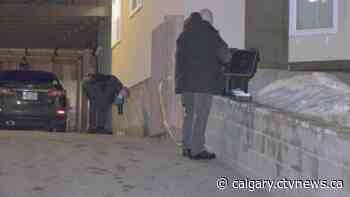 Body found in northwest Calgary neighbourhood, homicide unit investigating - CTV News Calgary