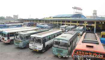 Free ride for transport mafia in Punjab - The Tribune India