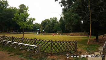 Interventi in corso di manutenzione del verde nel comune di Parma per circa 1.400.000 euro - - ParmaDaily.it
