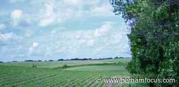 Cooperative farming opportunity available near Fergus Falls - Perham Focus