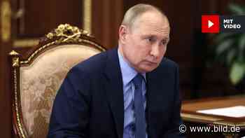 Russland-Zoff bei BILD - Können wir Putin stoppen? - BILD