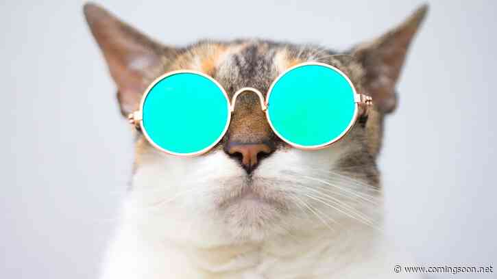 Live-Action The Aristocats Remake in the Works at Disney