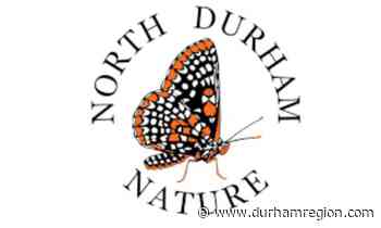 North Durham Nature plans AGM, photography hike in January - durhamregion.com
