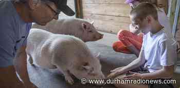 Community donates thousands to Durham animal rescues and shelters for #BettyWhiteChallenge - durhamradionews.com