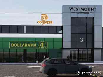 Dog kennel in a mall? Let's give it a shot: Westmount Shopping Centre - London Free Press (Blogs)