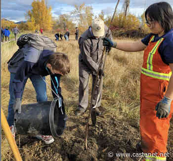 Over 50 new trees were planted at Munson's Pond by members of the community on Saturday - Kelowna News - Castanet.net