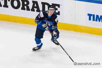 Ottawa Senators: Roby Järventie Showing Promise in Belleville - SenShot