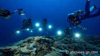 Rare, pristine coral reef found off Tahiti coast
