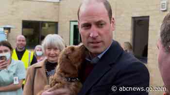 WATCH:  Prince William gets kissed by a sweet puppy