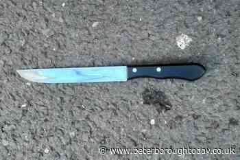 Peterborough man admits possession of knife on main city road after call from concerned resident - Peterborough Telegraph