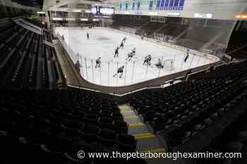 Peterborough Petes games confirmed for Thursday, Friday — without spectators - ThePeterboroughExaminer.com