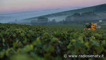 Inflazione al 3,7% in Toscana, Coldiretti Siena: “Situazione preoccupante per i nostri agricoltori” - RadioSienaTv