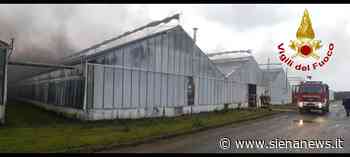 Incendio a Piancastagnaio, fiamme in una serra di 5mila metri quadrati - Siena News