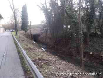 CB6 ha "ripulito" il fosso di Riluogo, dietro alla stazione di Siena - Il Cittadino on line