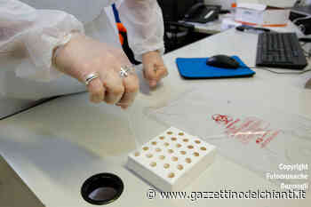 Provincia di Siena: definito il primo elenco di associazioni abilitate a fare tamponi e vaccini - Il Gazzettino del Chianti e delle Colline Fiorentine
