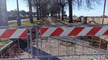 Siena, la Fortezza rimane transennata: tecnici allo studio degli alberi - RadioSienaTv