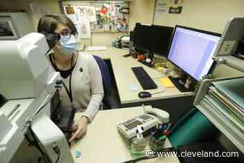 While Ohio’s coronavirus cases per 100,000 residents climbs to 2,154.8, Cuyahoga County’s drops to 939.5 - cleveland.com