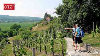 Dachmarke Saale-Unstrut: Über Grenzen hinweg Touristen werben