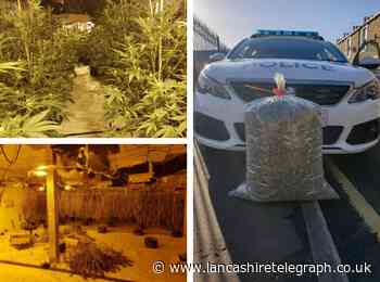 Burnley cannabis farm worth around £1million uncovered by police