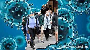 Relief and resentment as WA businesses digest border opening delay